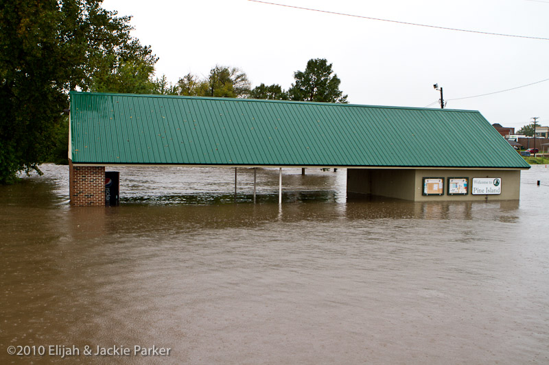 Flooding in Pine Island, MN