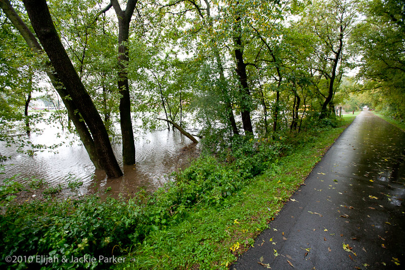 Flooding in Pine Island, MN