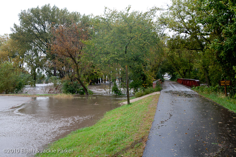 Flooding in Pine Island, MN