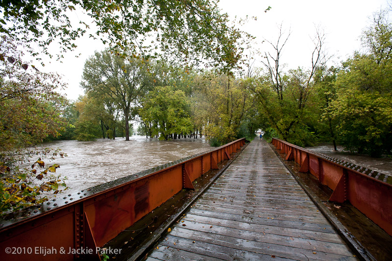 Flooding in Pine Island, MN