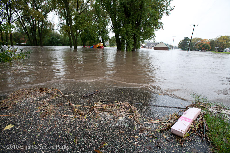 Flooding in Pine Island, MN