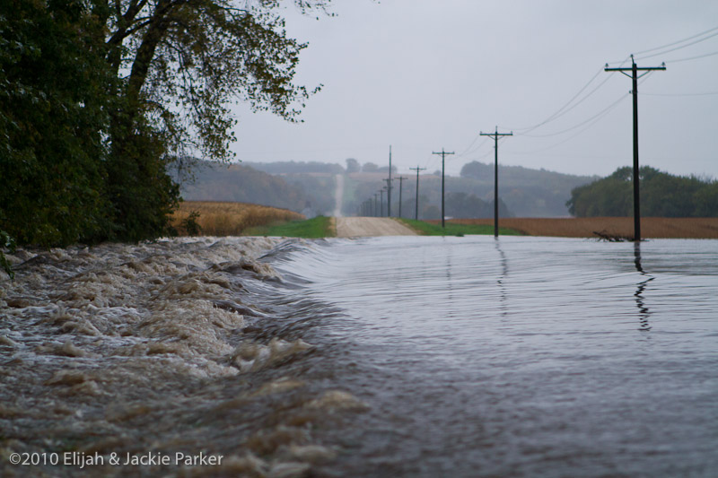 Flooding in Pine Island, MN